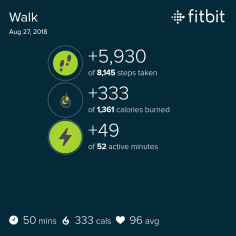 fitbit_sharing_20341690694864700325904141461381497026.png